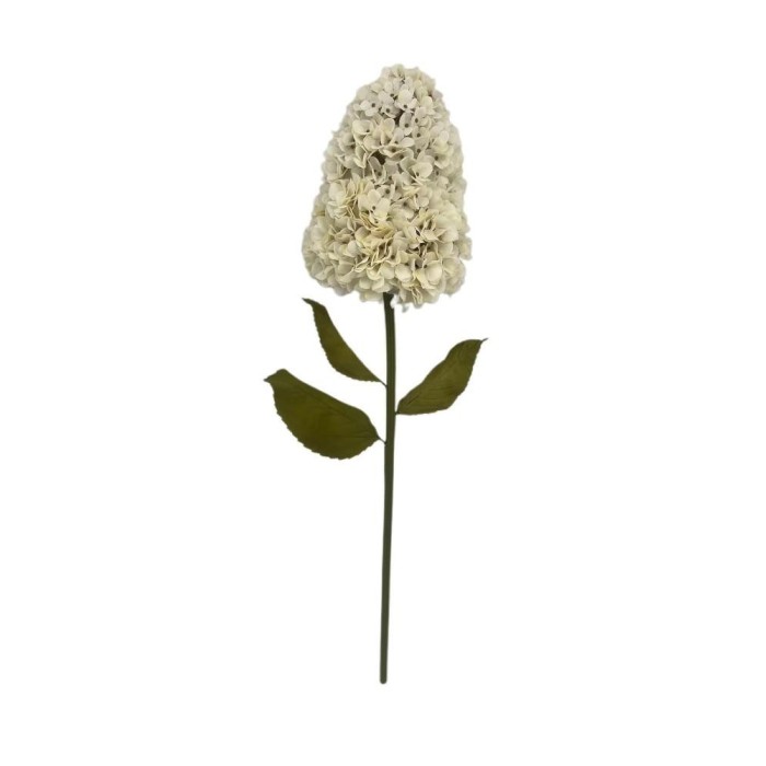 ORTENSIA JANET AVORIO H.128